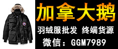 六年終端第一手貨源 加拿大鵝羽絨服批發 