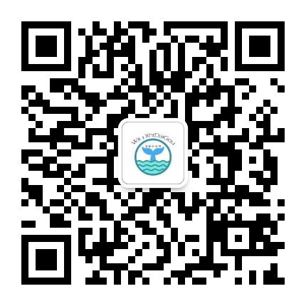 小海豚潮牌一手貨源一件代發